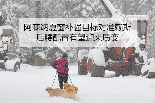 阿森纳夏窗补强目标对准赖斯 后腰配置有望迎来质变