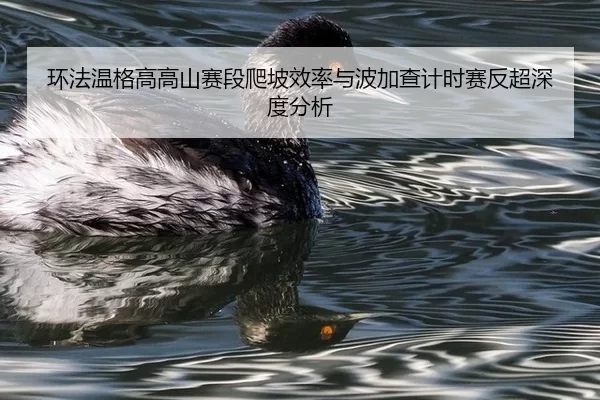 huan-fa-wen-ge-gao-gao-shan-sai-duan-pa-po-xiao-lv-yu-bo-jia-cha-ji-shi-sai-fan-chao-shen-du-fen-xi-2-613.jpg