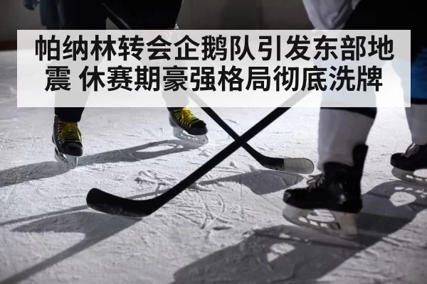 帕纳林转会企鹅队引发东部地震 休赛期豪强格局彻底洗牌
